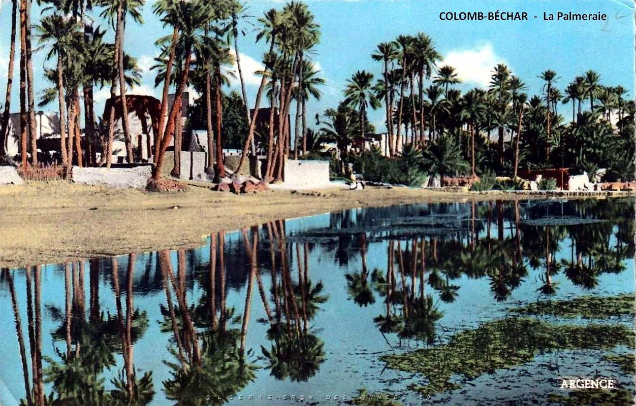 Colomb-Bechar - La Palmeraie.jpg